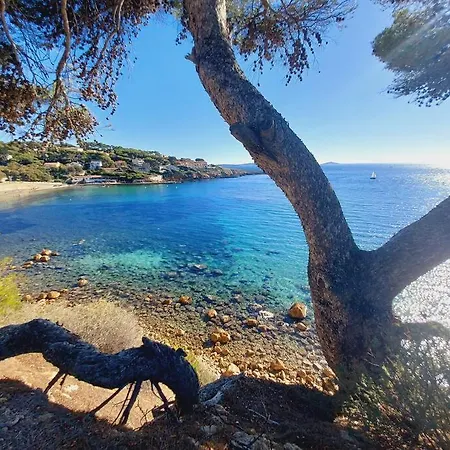 Les Bougainvilliers Vila